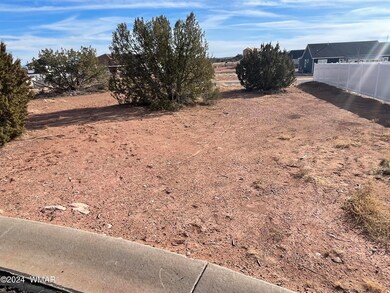 Lot 10 W Arrowhead Rd, Snowflake, AZ 85937 - photo 4