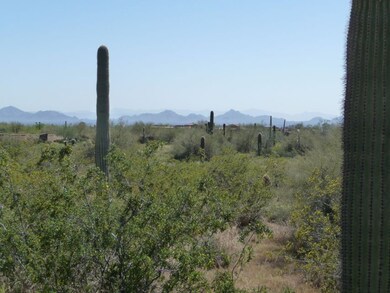 View To Phoenix