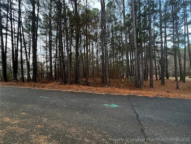 2198 Cleveland Cir, Sanford, NC 27332 - photo 3