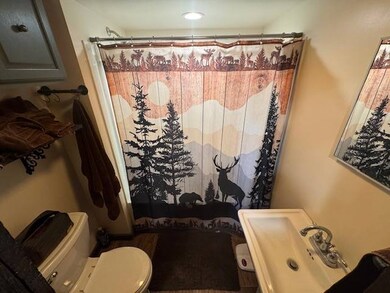 10082 Kentucky 57, Tollesboro, KY 41189 - photo 7