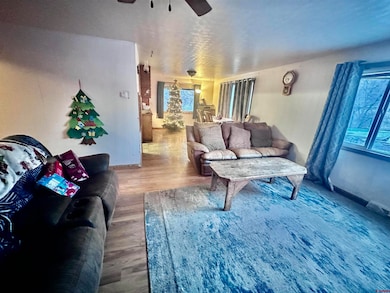 14211 Highway 65, Eckert, CO 81418 - photo 4