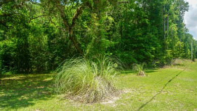 4.71 Ac Ward Pineview Rd, Lucedale, MS 39452 - photo 4