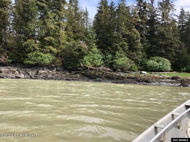 L13 E Channel Legal Address Only, Wrangell, AK 99929 - photo 7