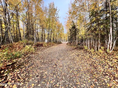 11470 Michigan St, Willow, AK 99688 - photo 6