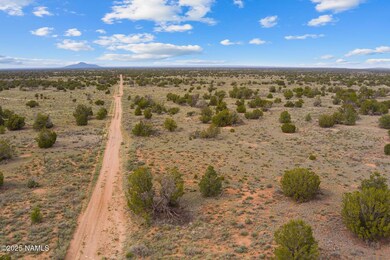 50178020f Wyandotte Rd, Williams, AZ 86046 - photo 5