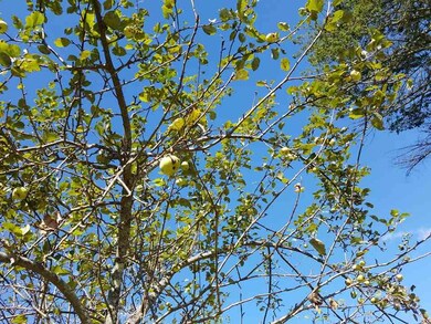 181 Water St, Boscawen, NH 03303 - photo 7