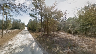 Lot 181 NE 86th St, East Bronson, FL 32621 - photo 3
