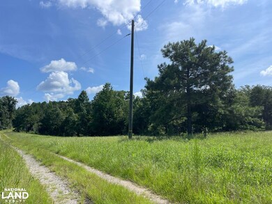 0 Turner Rd unit 21139205, Tuscaloosa, AL 35406 - photo 4