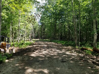 Map 13-3 Lot 16-1 Loring Hill Rd, Buckfield, ME 04220 - photo 2