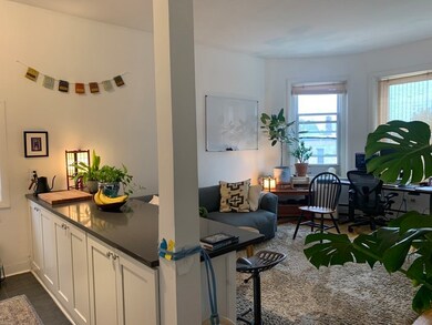 863 Massachusetts Ave unit 46, Cambridge, MA 02139 - photo 4