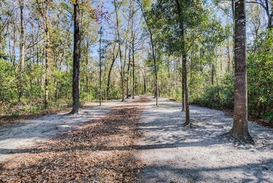 28019 29th Rd, Branford, FL 32008 - photo 6