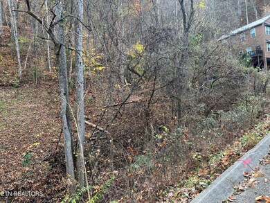 0 Pulaski Ln unit 1282050, Sevierville, TN 37862 - photo 4