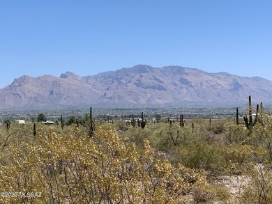 Catalina Mtn. View