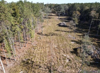 3315 Nesom Rd, Denham Springs, LA 70706 - photo 5