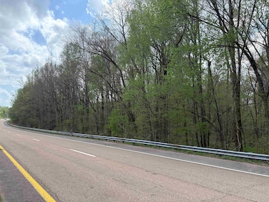 View of street with a forest view