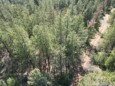 0 Sandpiper Dr unit 3007715, Beatty, OR 97621 - photo 4