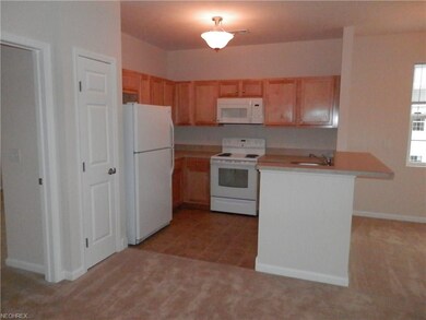 910 Aqua Marine Blvd, Avon Lake, OH 44012 - photo 5