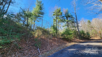 9999 Old Chestnut Ln unit 1, Hendersonville, NC 28739 - photo 6