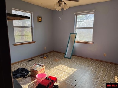 128 Hickory Shadow Ln, Lakeview, AR 72642 - photo 5