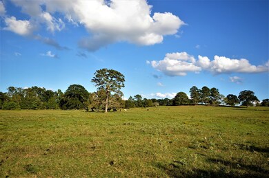 000 Fm 698, Nacogdoches, TX 75964 - photo 6