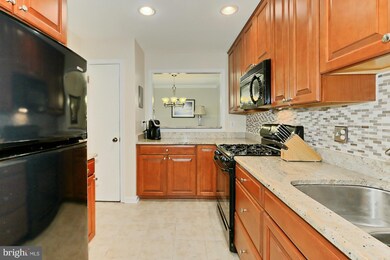 10094 Oakton Terrace Rd unit 10094, Oakton, VA 22124 - photo 7