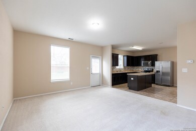 11806 Pure Silver, San Antonio, TX 78254 - photo 4