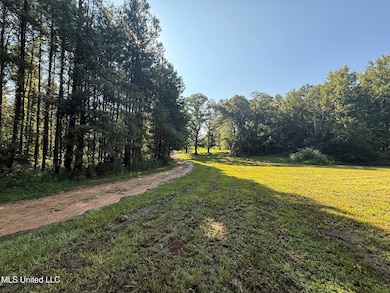 1156 Boone Rd, McComb, MS 39648 - photo 3
