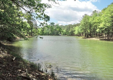 0 Shoreside Dr, Double Springs, AL 35553 - photo 2