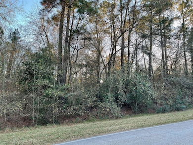 0 Riverbrook Dr unit 46053086, Conroe, TX 77385 - photo 3