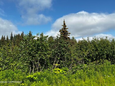 CE1A4466-B642-4B4B-88AF-E570CCDFC9CB