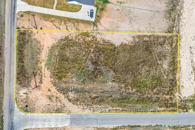 1020 Agnes N, Springtown, TX 76082 - photo 4