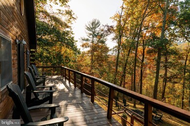 404 Mill Farm Trail, Berkeley Springs, WV 25411 - photo 6