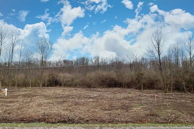 5.-North-View-of-Lot
