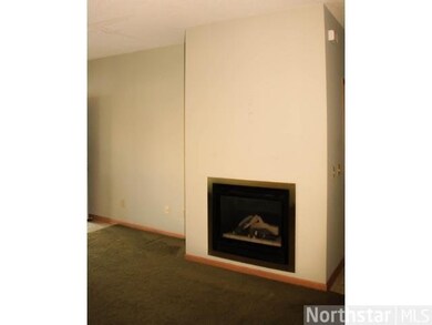 10927 Vale St NW, Coon Rapids, MN 55433 - photo 5