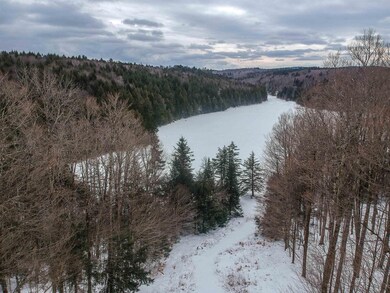 268 N Ryder Pond Rd, Whitingham, VT 05361 - photo 3