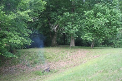IMG_5225