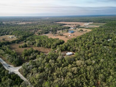 TBD NE 120th Ave, Bronson, FL 32621 - photo 7