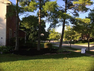 Neighborhood