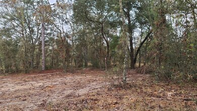 Lot 2 SW Viburnum Rd, Dunnellon, FL 34431 - photo 3