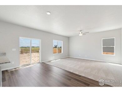 7406 Crystal Ave, Frederick, CO 80530 - photo 5