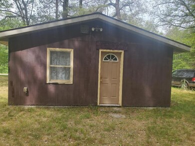 11426 N Bingham Ave, Bitely, MI 49309 - photo 5