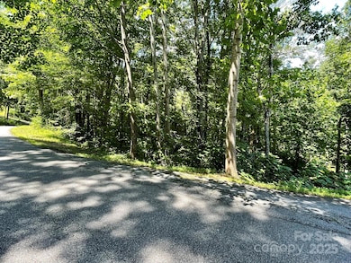 3287 Stones Throw Dr unit 3, Valdese, NC 28690 - photo 2