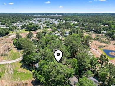 Bird's eye view of a forest