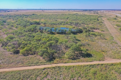 28.37 Acres Texas 199, Jacksboro, TX 76458 - photo 6