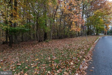 0 Timber Grove Rd unit 1004187911, Reisterstown, MD 21136 - photo 3