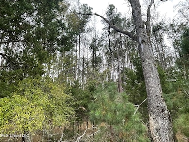 No Old Fannin Rd, Jackson, MS 39232 - photo 5