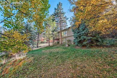 Beautiful mature Pines and Aspen Trees.
