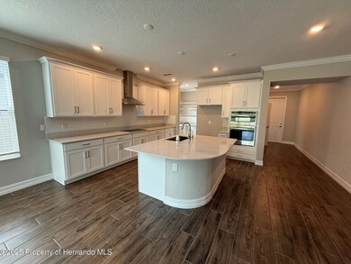 9904 Wild Begonia Loop, Land O' Lakes, FL 34637 - photo 4