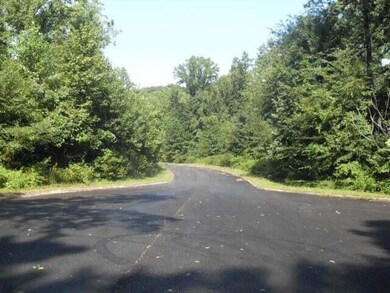 Loblolly Lane