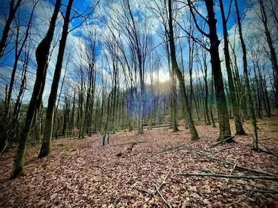 Town Line Rd, McGraw, NY 13101 - photo 2